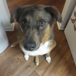 Meet your Posher, Hailey